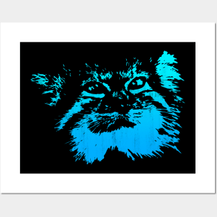 Pallas Cat - Blue Posters and Art